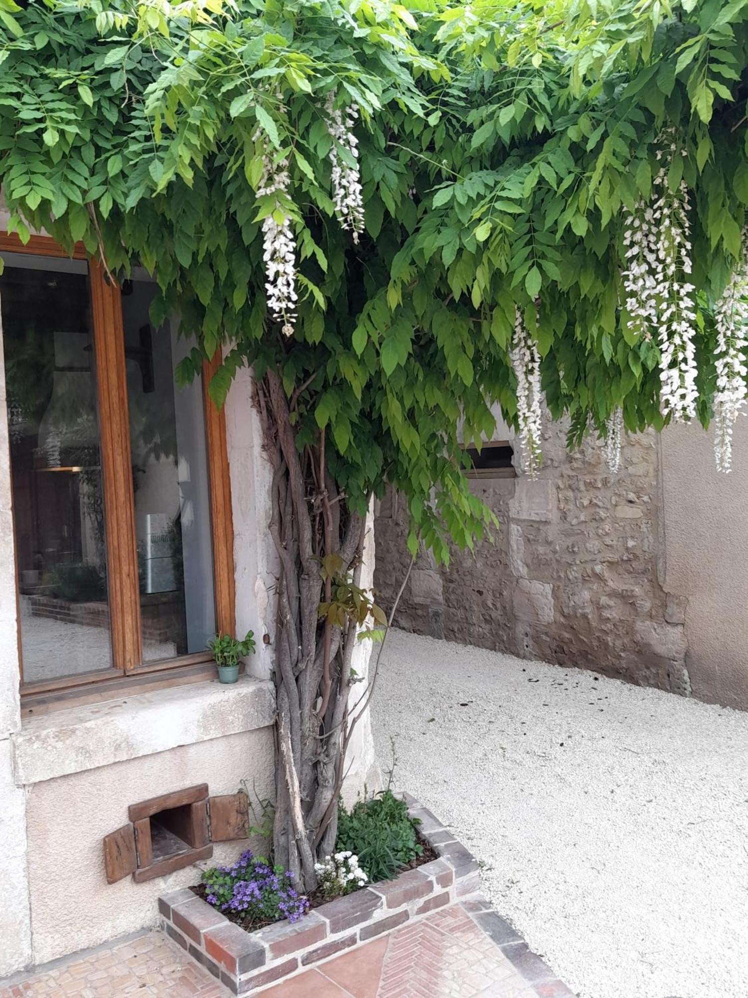 Aux Sources De Ouanne Bed and Breakfast Εξωτερικό φωτογραφία